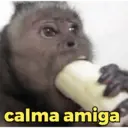 ملصق