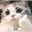 Çıkartma
