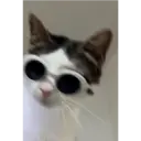 ملصق
