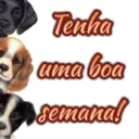 Стикер
