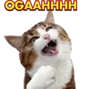 Стикер