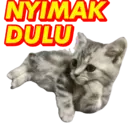 Стикер