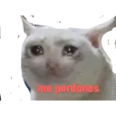Çıkartma