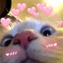 ملصق