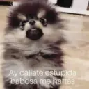 Çıkartma