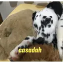 Çıkartma
