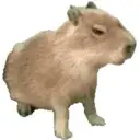 ملصق