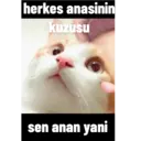Çıkartma