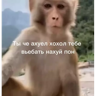 ملصق