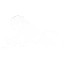 الصور الظلية البيضاء (c7zh89542w)