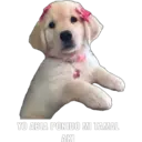 Çıkartma